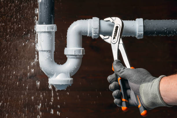 Professional Plumbing technician working in Tovey, IL